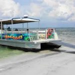 Why Tarpon Springs Boat Tours Should Be on Your Bucket List