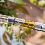 Shop Premium THC Vapes for a Smooth Experience