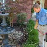 The Ultimate Guide to Effective Pest Control in Boise