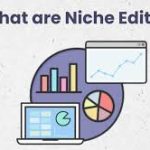 The Ultimate Guide to Understanding Niche Edits for SEO Success