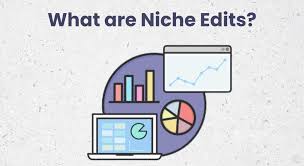 The Ultimate Guide to Understanding Niche Edits for SEO Success